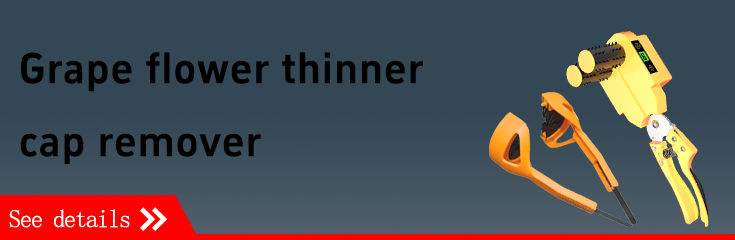 Nailers & Compressors